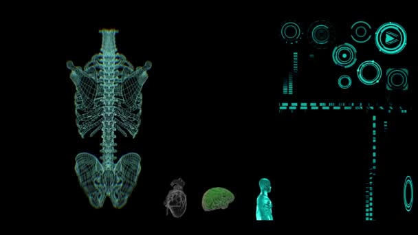 Медичний Інтерфейс Кістки Скелетного Хребта Рендеринга — стокове відео