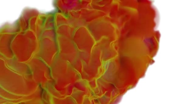 Couleur Éclatement Irisé Multicolore Coloré Poudre Fumée Explosion Liquide Particules — Video