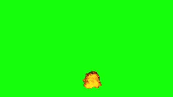 爆炸炸弹效果绿屏效果绿屏效果绿屏3D渲染 — 图库视频影像