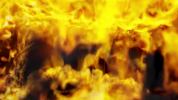 Vuurvlammen Vlammen Van Vuurmuur Slow Motion Maken — Stockvideo