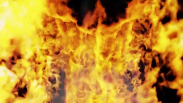 Огненное Пламя Пламя Огненной Стены Замедленной Съемке — стоковое видео