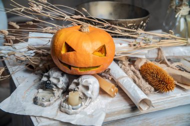 Balkabakları Cadılar Bayramı konsepti