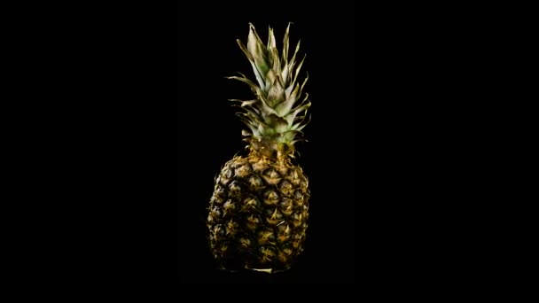 Spinnende Ananas auf schwarzem Hintergrund — Stockvideo