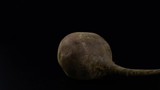 Beets spinning on a black background — Stock Video