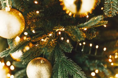 Noel ışıkları, kış tatili arka plan ile Noel ağacı