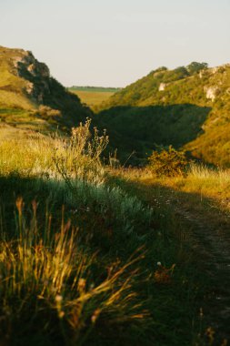 İki tepeden geçen yolun fotoğrafı