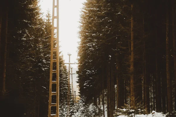 Foto Paisaje Invernal Helado Nieve Camino Forestal Con Pilar Bosque — Foto de Stock