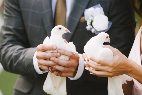 Düğün Günü Gelin Damat Beyaz Güvercinleri Tutun Beyaz Güvercinleri Tutan — Stok fotoğraf