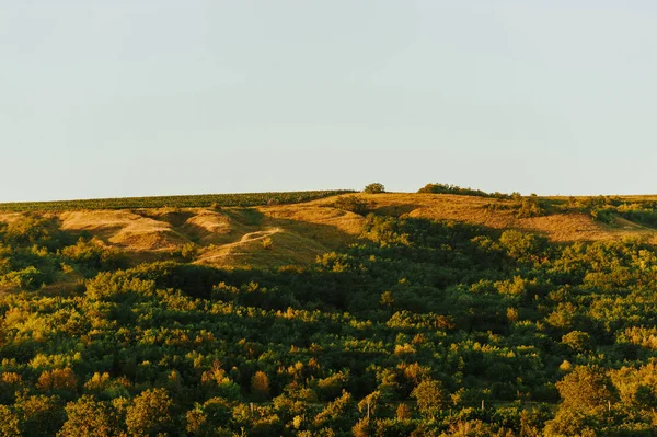 Bellissimo Paesaggio Collinare Natura Perfetta Fotografia All Aperto — Foto Stock