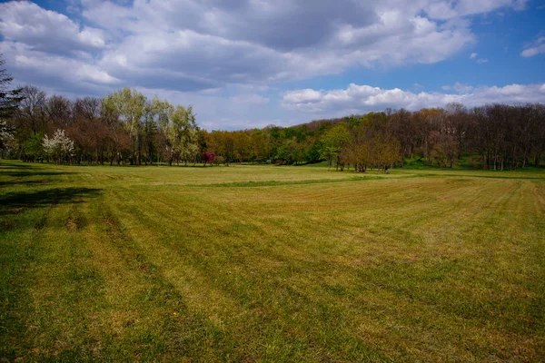 Küçük alan, güzel güneşli bahar günü ile bir parkın fotoğraf