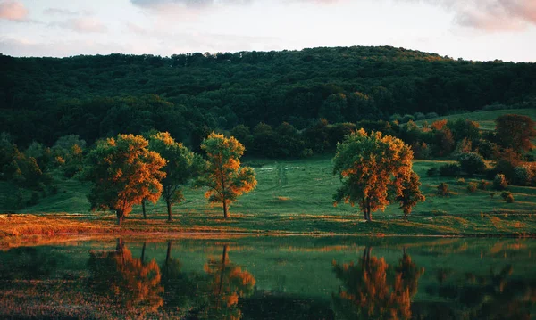 Beau paysage avec des arbres verts au coucher du soleil et au lac — Photo