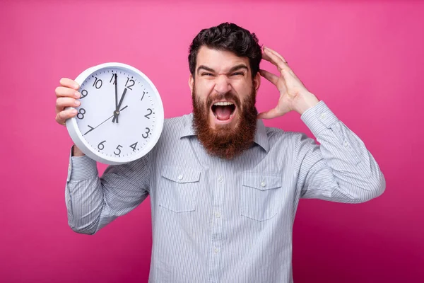 Time runs! I'm late. Young bearded man is stressed, holding a white clock and an hand on his head, screaming mad.