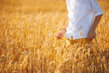 Buğday tarlasında yürüyen beyaz gömlekli yakışıklı bir çocuğun fotoğrafı
