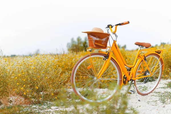 Koncepcja podróży. Zdjęcie z żółtym bicylce, w kolorowe pole WIT — Zdjęcie stockowe
