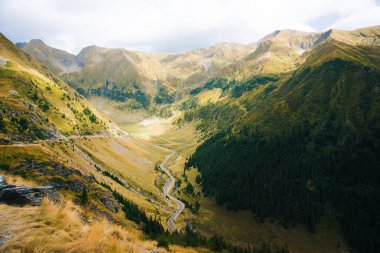 Romanya güzel dağ manzarası fotoğrafı