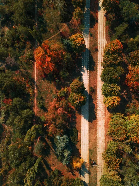 Ζεστό κίτρινο, κόκκινο και πράσινο τοπίο σε ένα πάρκο. Κάτοψη από τηλεκατευθυνόμενο. — Φωτογραφία Αρχείου