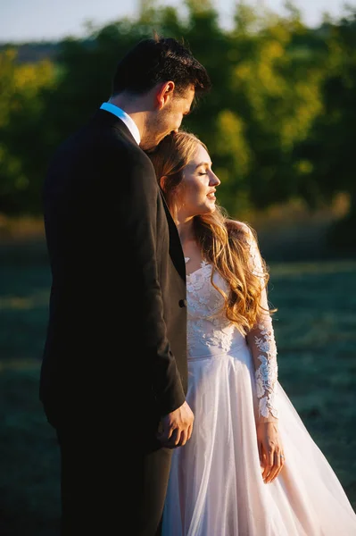 Bella coppia godendo il tramonto. Lo sposo bacia la sua sposa sulla sua testa . — Foto Stock