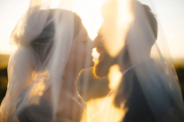 Nahaufnahme Paar bereit, einen Kuss zu geben, lächelnd einander im Sonnenuntergang, unter Schleier. — Stockfoto