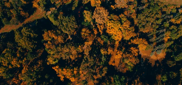 Beautiful drone picture from above of amazing colorful autumn trees — Stock Photo, Image