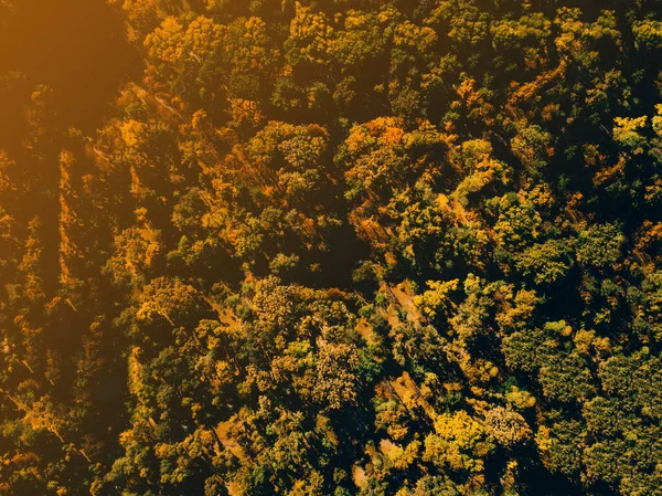 Όμορφη εικόνα drone από ψηλά των καταπληκτικών πολύχρωμα δέντρα φθινόπωρο — Φωτογραφία Αρχείου