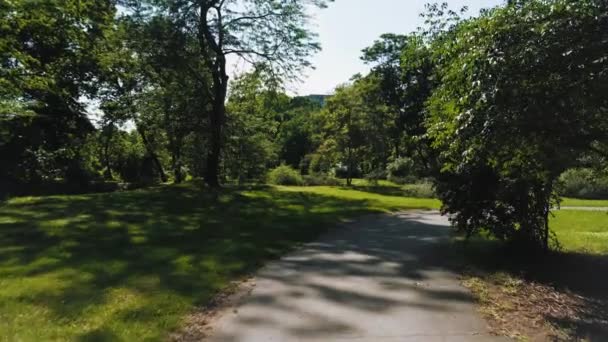 Imágenes de 4k del parque botánico durante el verano al atardecer — Vídeo de stock