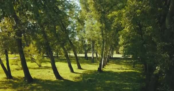 4k Drohnenaufnahmen im Park während der Sommerzeit, grüne Stadt, Pause — Stockvideo