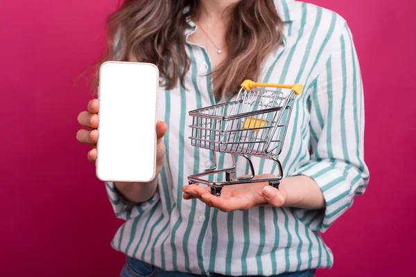 Peça diretamente do seu celular. Mulher está segurando um telefone e carrinho de compras pequeno ou carrinho — Fotografia de Stock