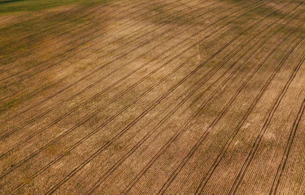 Повітряна фотографія сільськогосподарських угідь, підготовка до осені, гарна текстура — стокове фото