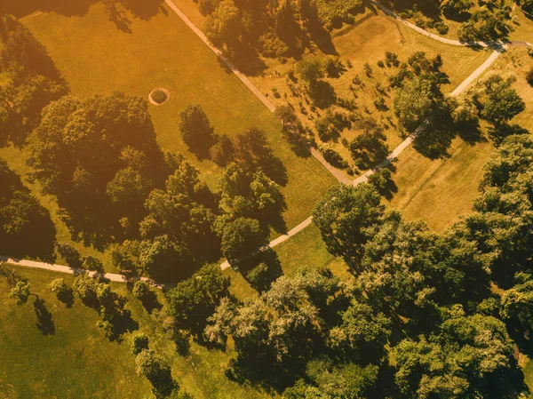 Foto Aerea Drone Bellissimo Parco Cittadino Durante Estate Natura Verde — Foto Stock