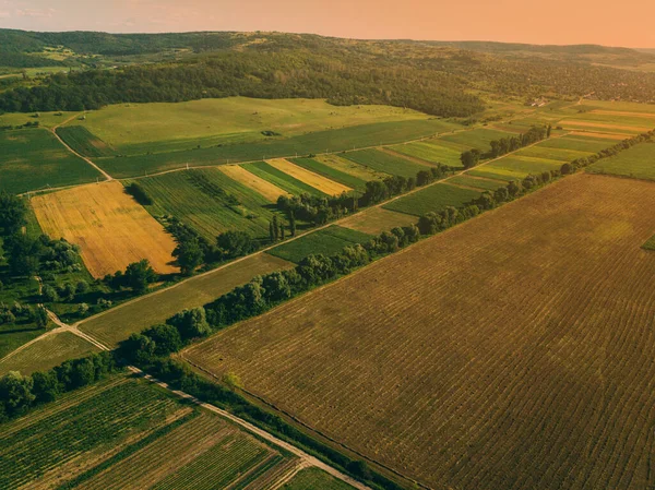 農村の雰囲気の中で日没の美しい農地の風景とドローンからの空中写真 — ストック写真