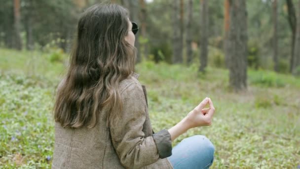 Bilder på unga tillfälliga kvinnor som sitter i skogen och mediterar — Stockvideo