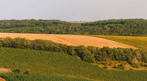 Beautiful Landscape Two Windmill Aerogenerator Aeolian Energy Moldova — Stock Photo, Image