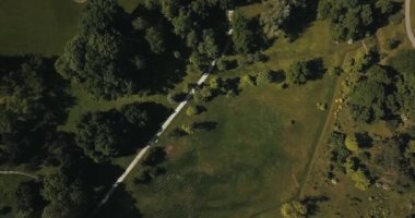 Hava aracı görüntüleri parkın, doğanın, ağaçların üst görüntüsü
