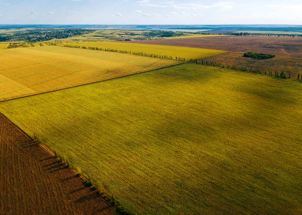 素晴らしい農業分野のドローンで作られた空中の美しい写真 — ストック写真