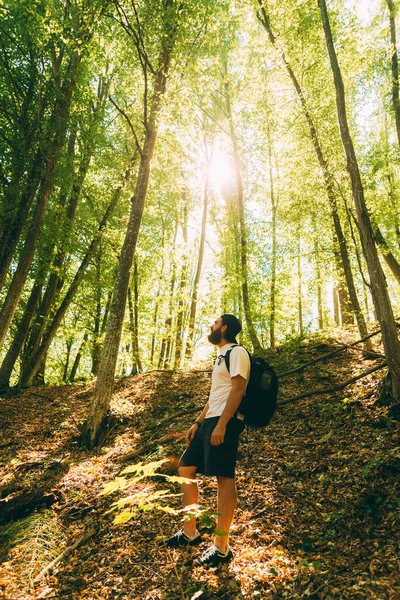 Foto av vandrare man i skogen tittar bort, solig dag. Resor är — Stockfoto