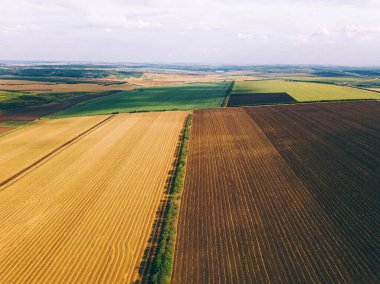 Countr 'daki harika ekin tarlalarının insansız hava aracıyla yapılmış güzel bir fotoğraf.