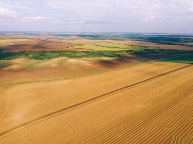 Countr 'daki harika ekin tarlalarının insansız hava aracıyla yapılmış güzel bir fotoğraf.