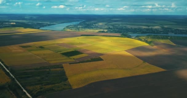 Légi Felvétel Csodálatos Gyönyörű Táj Közelében Folyó Mezőgazdasági Mezőgazdasági Koncepció — Stock videók