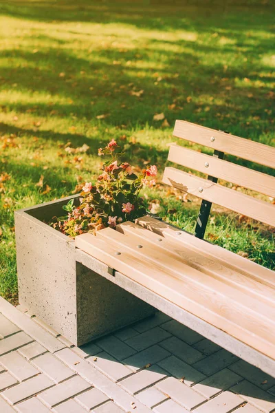 Изображение сиденья открытого парка с цветами на закате, время для отдыха — стоковое фото