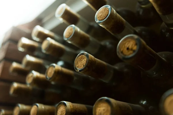 许多酒瓶在地下放置的近照，葡萄酒的概念 — 图库照片