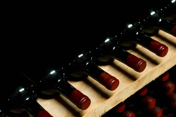 Vackert foto av mörka flaskor med rött vin som ligger under jord i fukt — Stockfoto