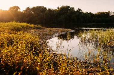 Güzel, sakin bir günbatımı sahnesi yansıtıcı suları sergiliyor. Nehir kıyısında canlı ve gür bir bitki örtüsüyle birlikte.