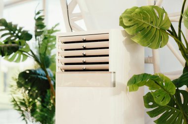 Şık ve modern bir klima ünitesi, şık bir iç mekânda, verimli tropikal bitkiler arasında güzelce konumlandırılmıştır.