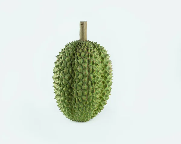 Durian Ist Eine Starke Frucht Hat Einen Sehr Süßen Geschmack — Stockfoto