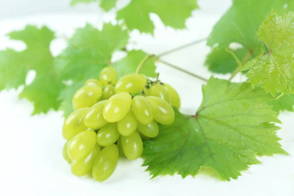 Groene Druiven Een Witte Achtergrond Zien Zeer Mooi Mooi — Stockfoto