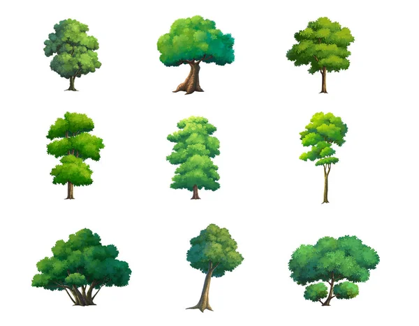 Árvores Pintura Para Desenhos Animados Isolados Fundo Branco Durante Dia — Fotografia de Stock