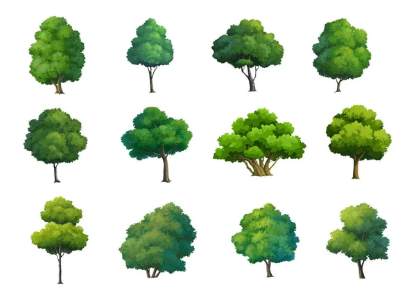 Beyaz Arka Plan Üzerinde Gündüz Izole Karikatür Için Ağaçlar Boya — Stok fotoğraf
