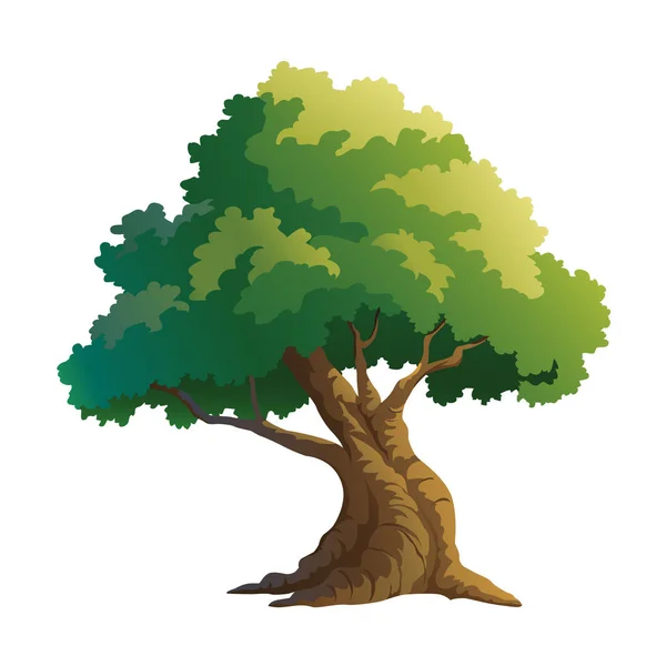 Illustration Vectorielle Pour Arbre Sur Fond Blanc — Image vectorielle