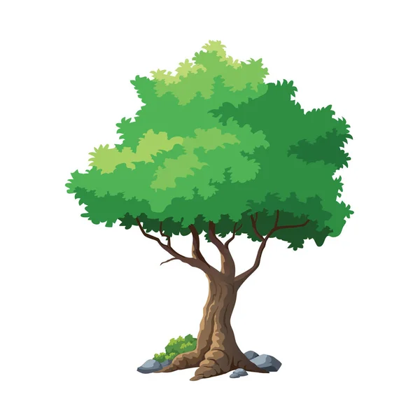 Illustration Vectorielle Pour Arbre Sur Fond Blanc — Image vectorielle