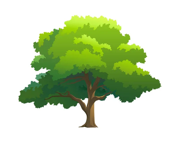 Vector Illustration Tree White Background — Stock Vector